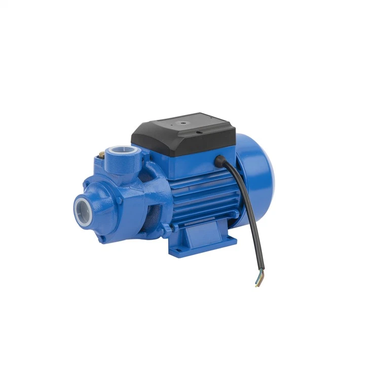 QB60/QB70/QB80 små elektriske perifere rent vannpumpe